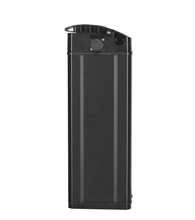 T1 Removable Lithium Battery 48V20Ah