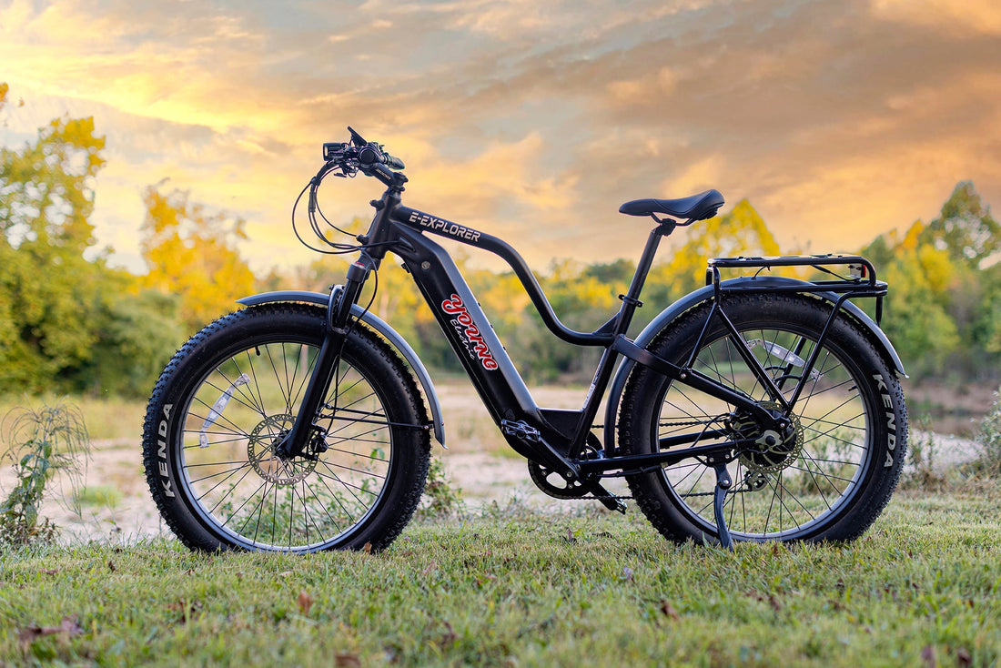Are E-Bikes the Future of Urban Transportation?