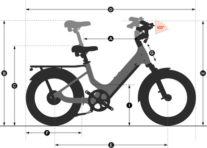 Joy Carbon E-Bike, Top Speed - 20mph