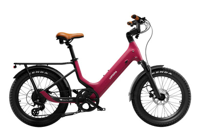 Joy Carbon E-Bike, Top Speed - 20mph