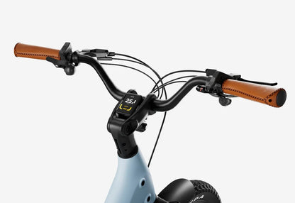 Joy Carbon E-Bike, Top Speed - 20mph