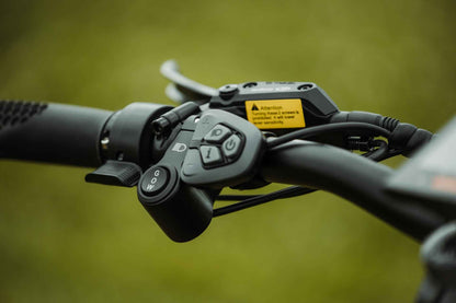 RAMBO BIKES Rebel 2.0, Top Speed - 28 MPH