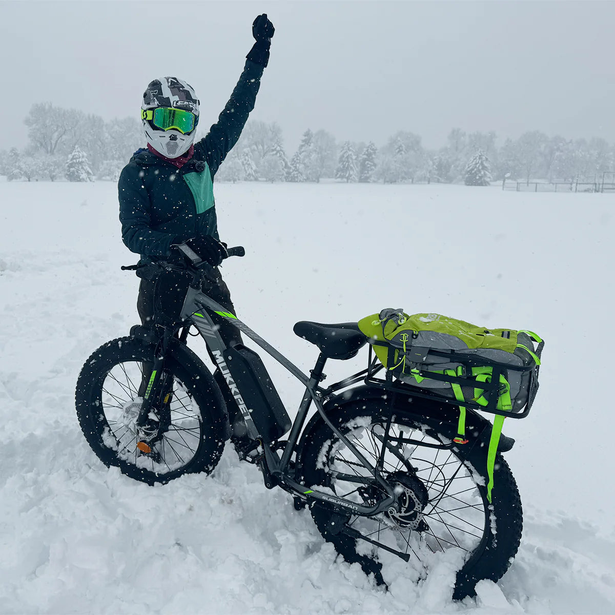 Mukkpet Suburban 1500W Peak E-bike, Max Speed: 25 MPH
