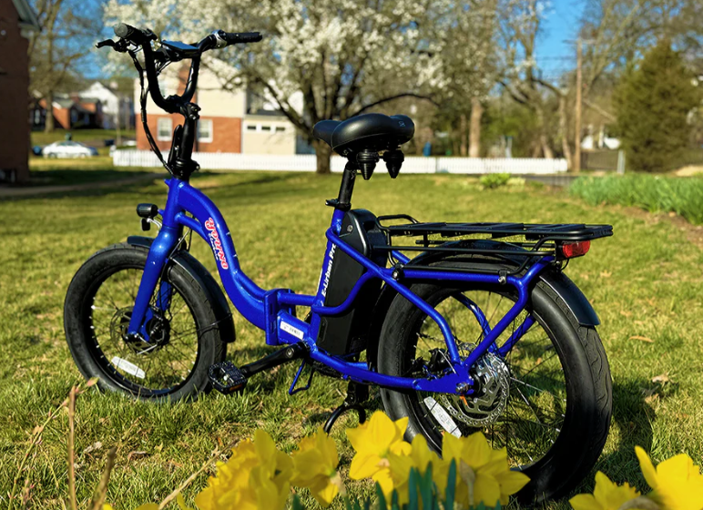 Young Electric E-Urban 500W Lightweight Folding eBike | 20'' All-terrain Fat Tire With 480Wh LG Battery | Internal Gear Hub, Top Speed - 20MPH