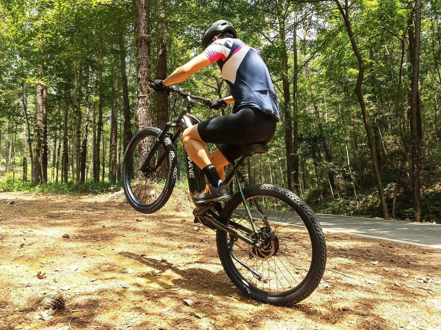 VELOWAVE Ghost Electric Mountain Bike, Top Speed - 28MPH