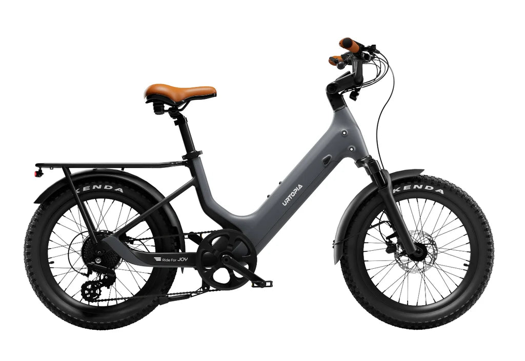 Joy Carbon E-Bike, Top Speed - 20mph